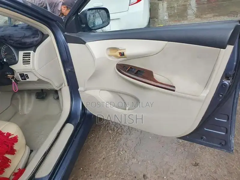 Lush Condition Home Use Digital Chat Bonet with Side Spray