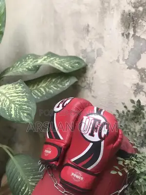 Boxing Training Set with Gloves and Punching Bag