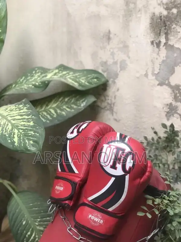 Boxing Training Set with Gloves and Punching Bag