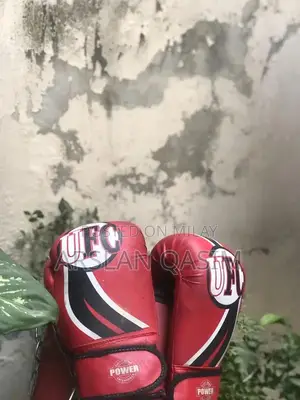 Boxing Training Set with Gloves and Punching Bag