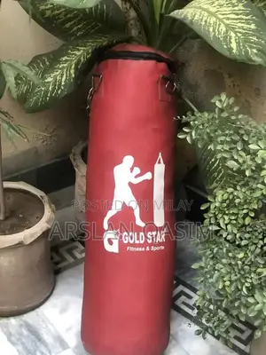 Boxing Training Set with Gloves and Punching Bag