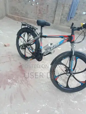 Photo - Imported Chinese Bicycle - Urban Commuter Model