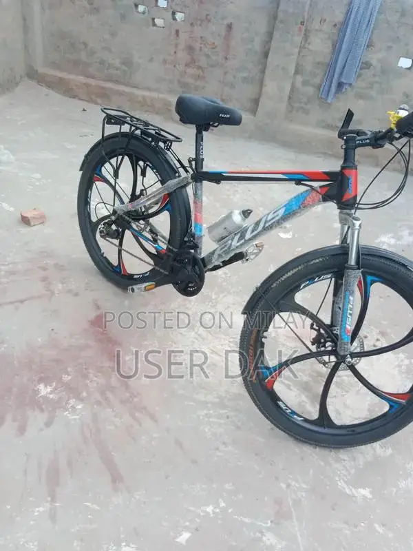 Imported Chinese Bicycle - Urban Commuter Model