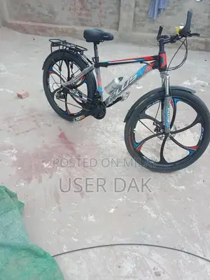 Imported Chinese Bicycle - Urban Commuter Model