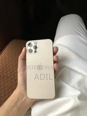 Apple iPhone 12 Pro Dual SIM 128GB Smartphone