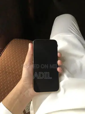 Apple iPhone 12 Pro Dual SIM 128GB Smartphone