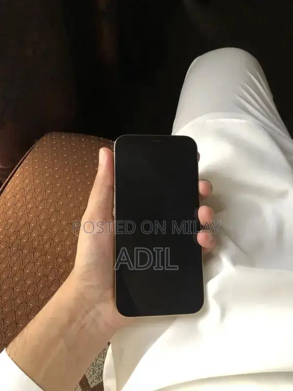 Apple iPhone 12 Pro Dual SIM 128GB Smartphone