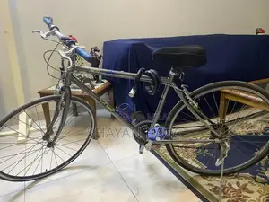 Photo - Japanese Imported Thin-Tire Bicycle in Excellent Condition