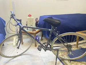 Japanese Imported Thin-Tire Bicycle in Excellent Condition