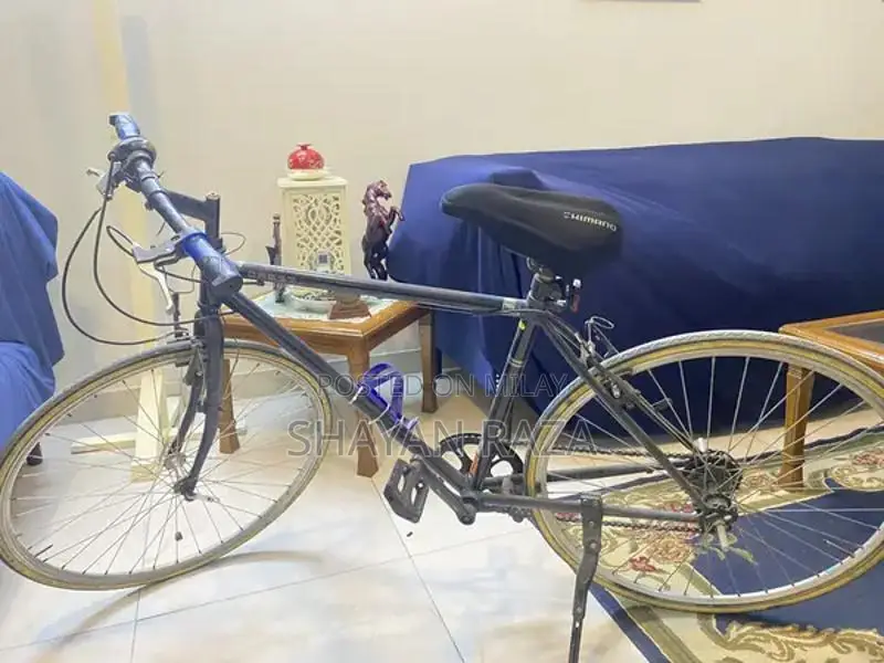 Japanese Imported Thin-Tire Bicycle in Excellent Condition