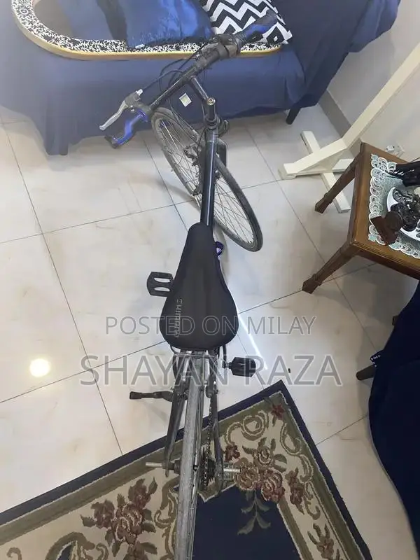 Japanese Imported Thin-Tire Bicycle in Excellent Condition