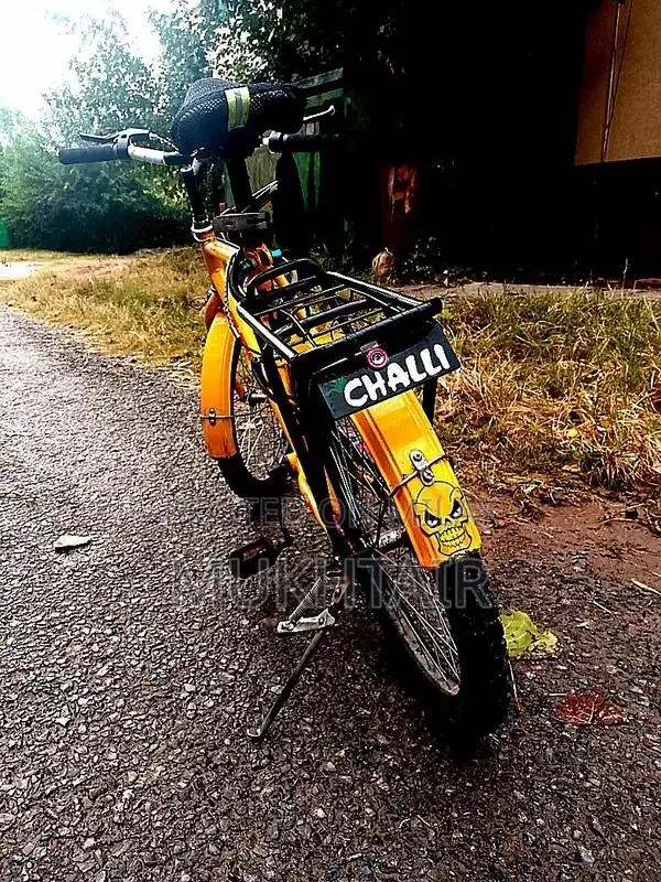 Phoenix Cycle Bicycle - Performance Road Bike