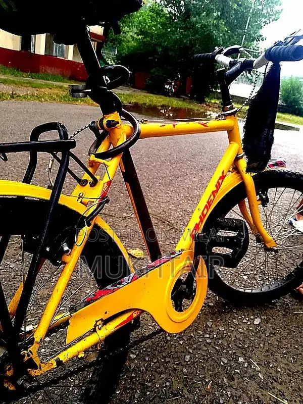 Phoenix Cycle Bicycle - Performance Road Bike