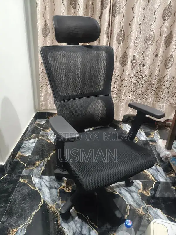 Executive Office Chair with Adjustable Features