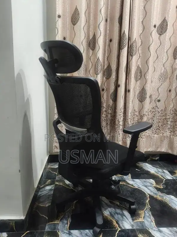 Executive Office Chair with Adjustable Features