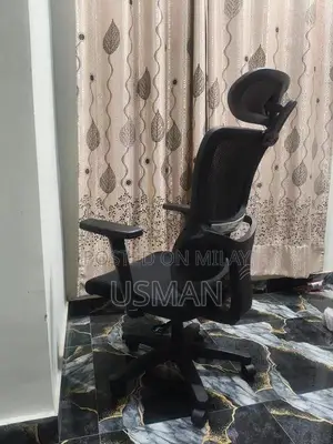 Executive Office Chair with Adjustable Features