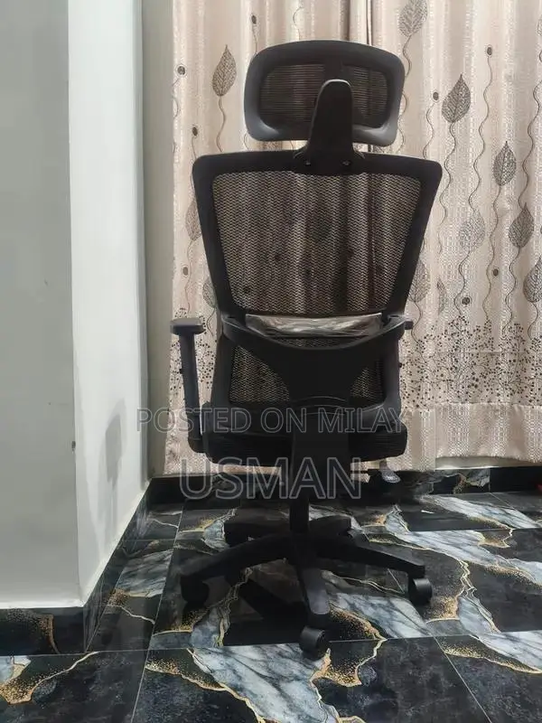 Executive Office Chair with Adjustable Features