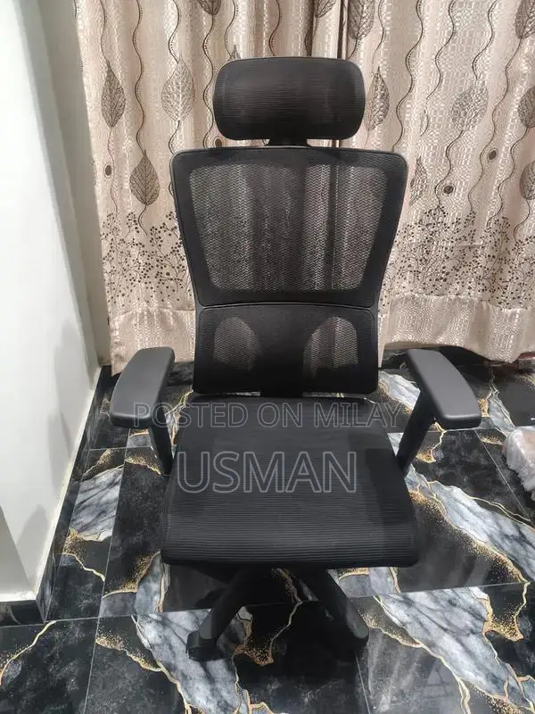 Executive Office Chair with Adjustable Features