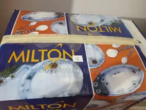 Photo - Milton 84-Piece Plastic Dinner Set with Elegant Floral Design