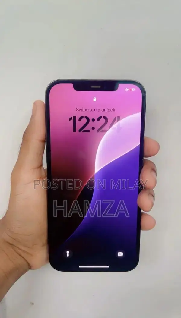 Apple iPhone 12 Pro Max 256GB Unlocked Smartphone