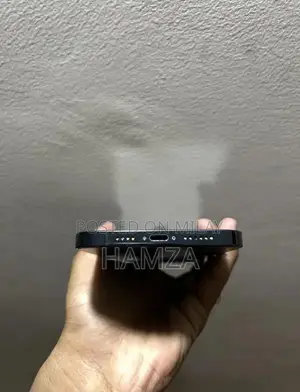 Apple iPhone 12 Pro Max 256GB Unlocked Smartphone