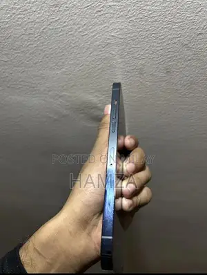 Apple iPhone 12 Pro Max 256GB Unlocked Smartphone