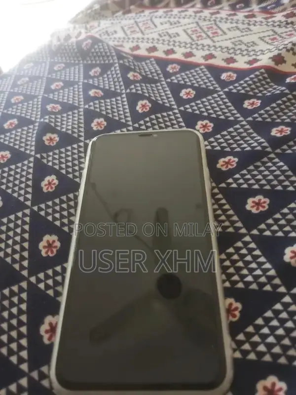 Apple iPhone 11 Pro Max 256GB Unlocked Smartphone