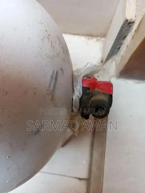 Imported Italian CNG Cylinder for Hyundai Santro - High-Quality Condit