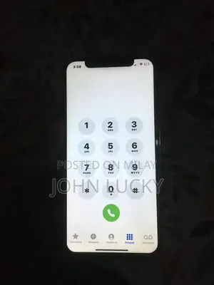 Apple iPhone X Smartphone with Modifications