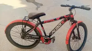 Well-Maintained Bicycle with Imported Tyres