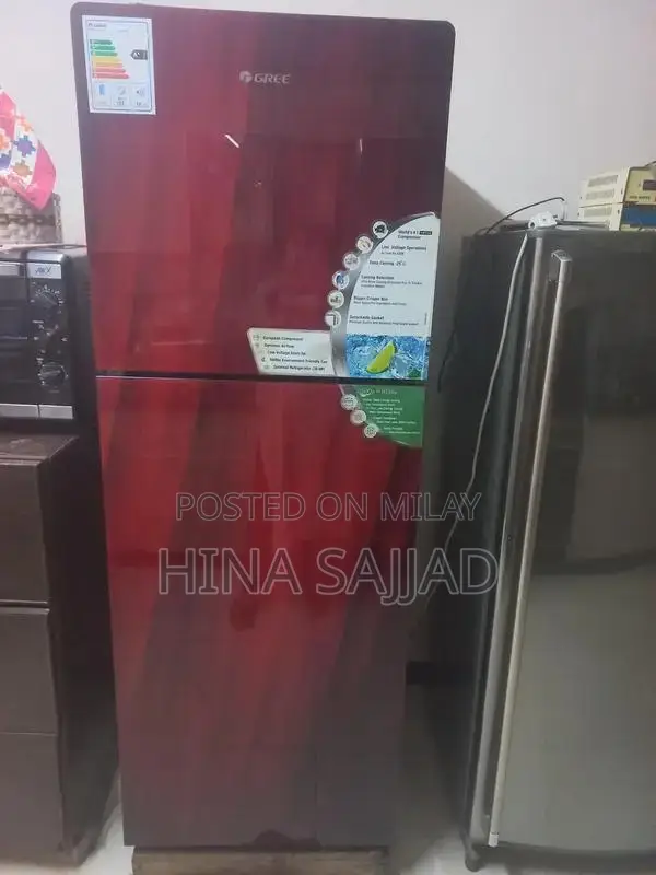 Modern Refrigerator with Attractive Design and Color