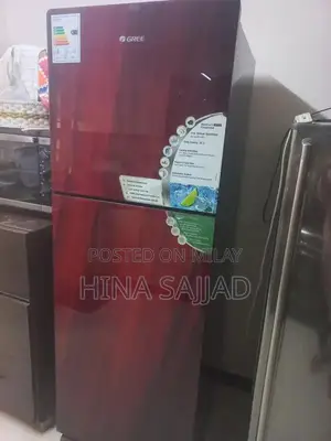 Modern Refrigerator with Attractive Design and Color