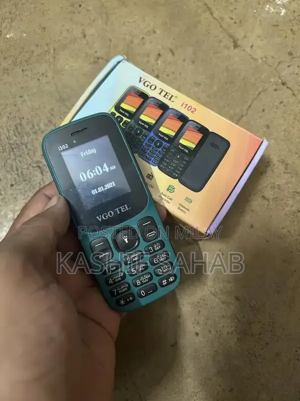 Dual SIM Mobile Phone with Wireless Radio and SD Card