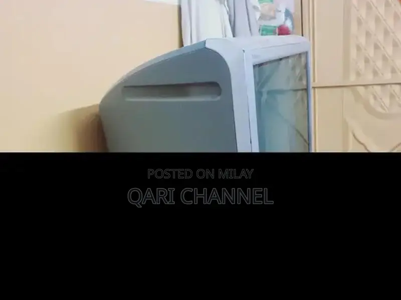 Sony Trinitron Vintage Television