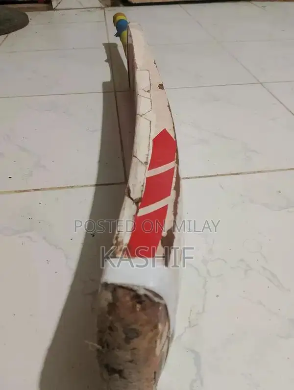 WS Cricket Bat - Fahad Miya Channo Edition with Accessories