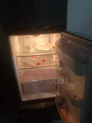 Compact Home Refrigerator with One-Year Usage