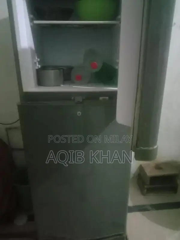 Compact Home Refrigerator with One-Year Usage