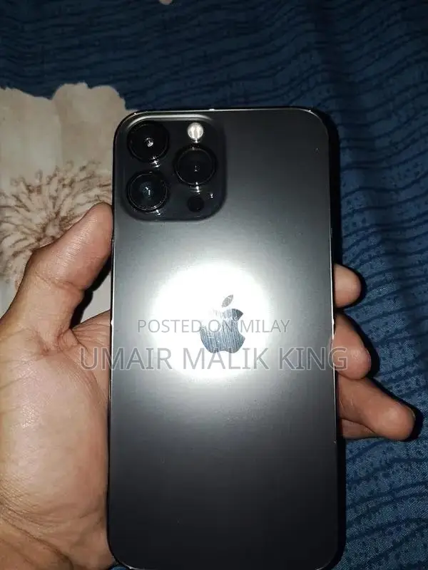 Apple iPhone 13 Pro Max Smartphone with Panel Replacement