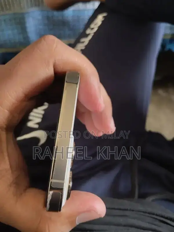 Apple iPhone 13 Pro Max Golden Edition Smartphone