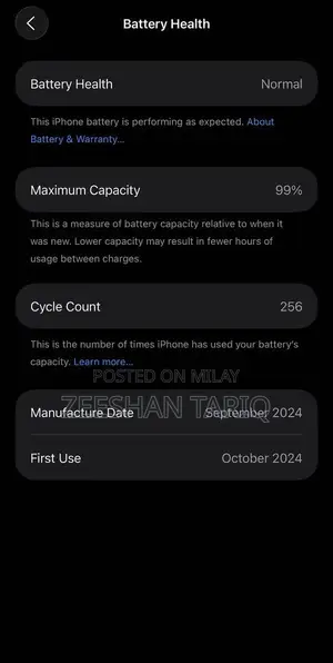 Apple Smartphone 256GB Desert Titanium Pristine Condition