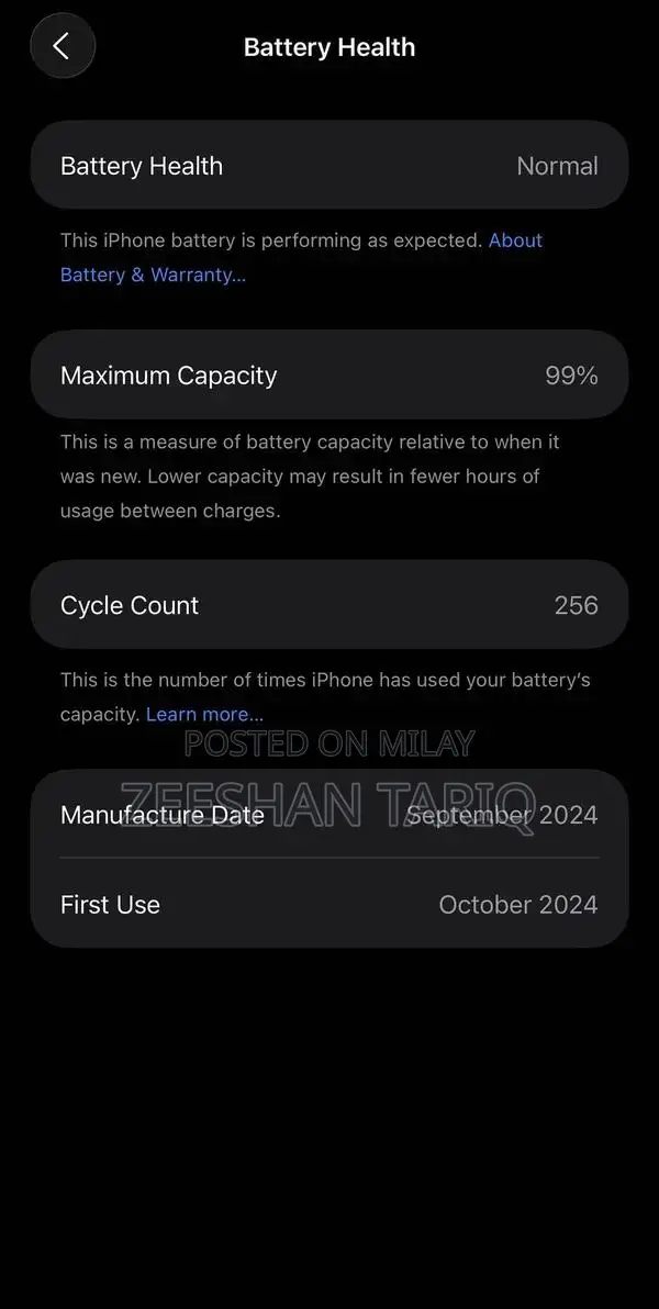 Apple Smartphone 256GB Desert Titanium Pristine Condition