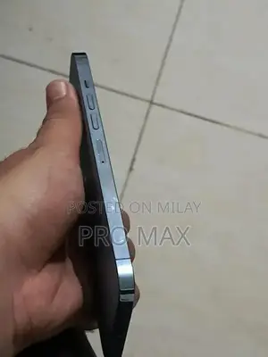 Apple iPhone 13 Pro Max Premium Smartphone