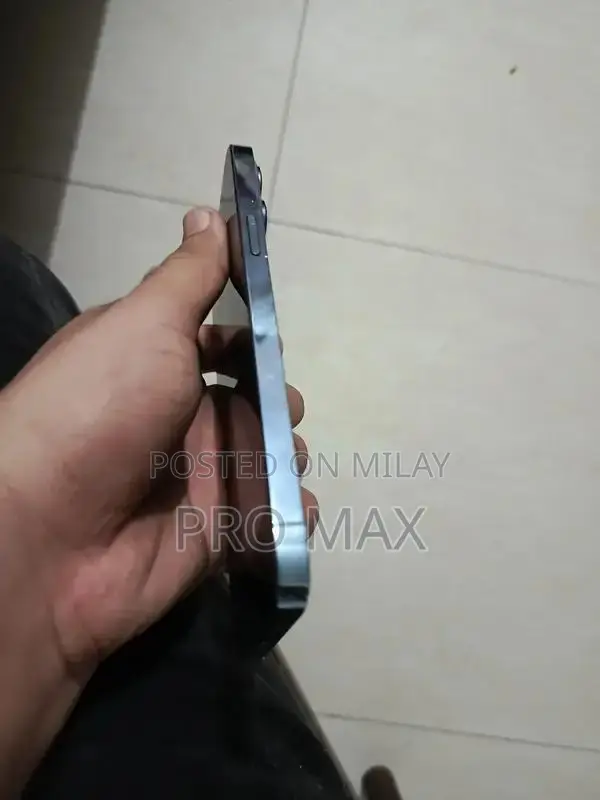 Apple iPhone 13 Pro Max Premium Smartphone