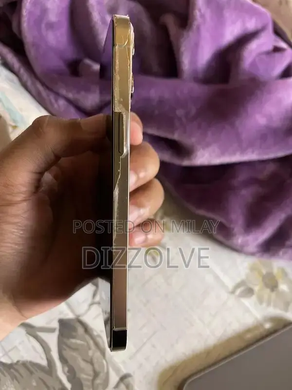 Apple iPhone 12 Pro Max - 256GB High-Performance Smartphone