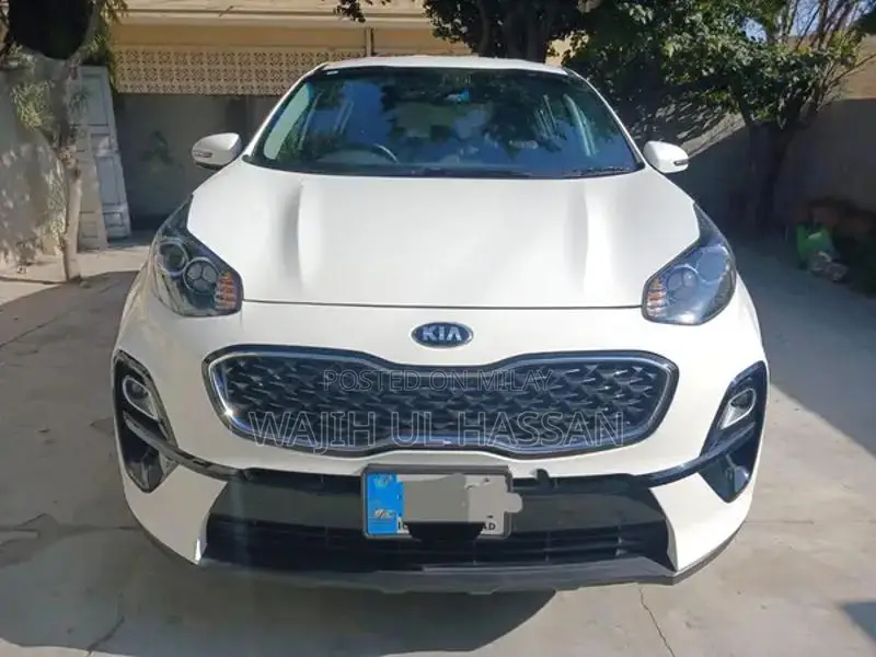 No Scratch Genuine Bumper to Bumper Vehicle Protection