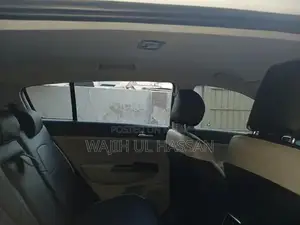 No Scratch Genuine Bumper to Bumper Vehicle Protection