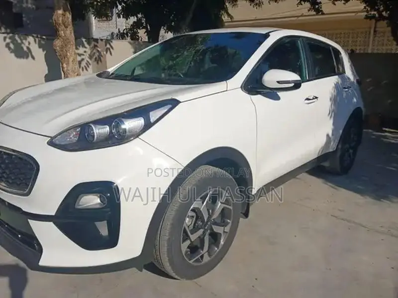 No Scratch Genuine Bumper to Bumper Vehicle Protection