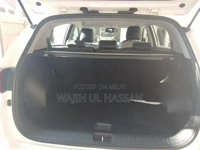 No Scratch Genuine Bumper to Bumper Vehicle Protection