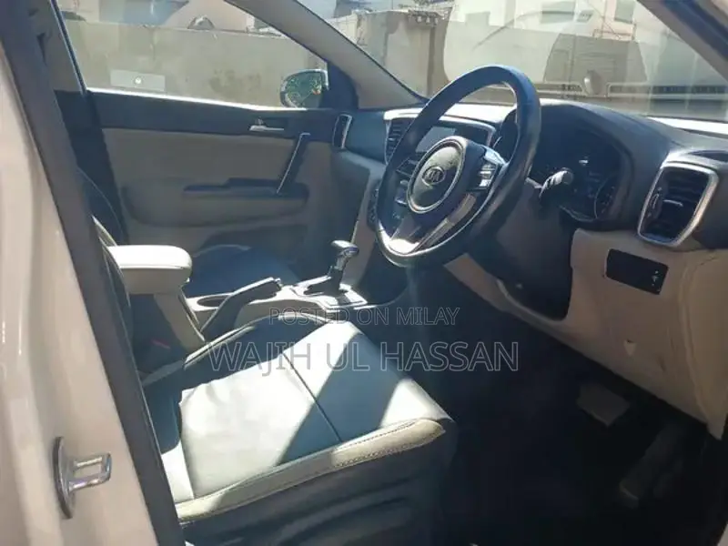 No Scratch Genuine Bumper to Bumper Vehicle Protection