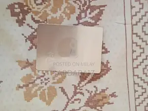 Stage 2 Hybrid Charizard GX Pokémon Trading Card - Silver Edition